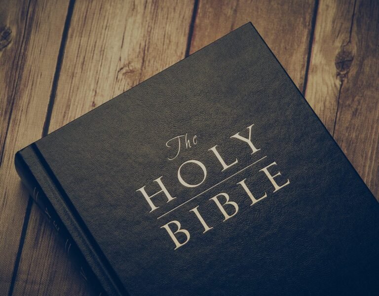 Why Is It Important to Read the Bible Regularly?